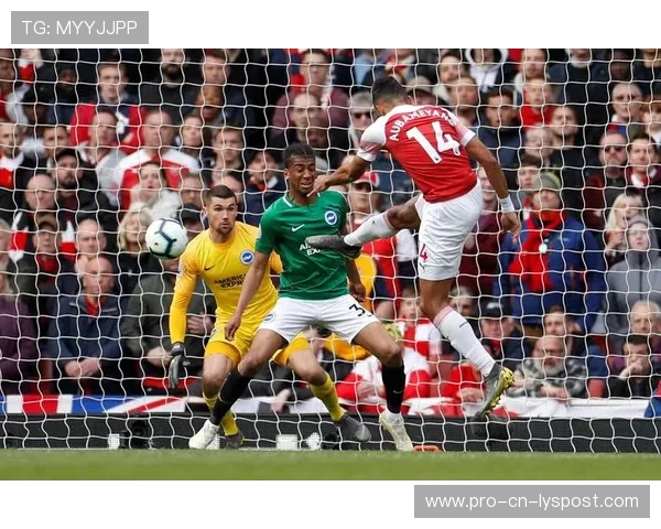 布莱顿将加强与欧洲二线俱乐部的租借合作,开启双赢新局面